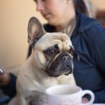 Maximizing Efficiency with 4G Proxy Services and Session Control Systems