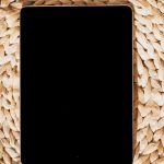 Rent Mobile Proxy Control Panel for Efficient Proxy Management