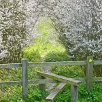 Benefits of 5G Proxies with Unlimited Data and How to Subscribe